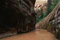 zion np - narrows 017